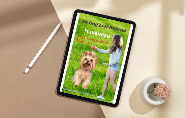 Havanese